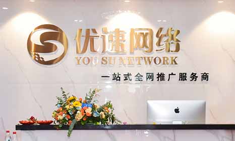 公司使命